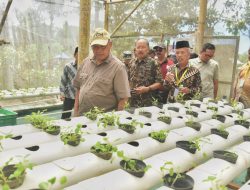 Bupati Sleman Hadiri Soft Launching Taman Ketahanan Pangan Semar Ndalil di Girikerto