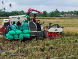 Inflasi DIY Terkendali di Akhir Tahun 2025, Kesejahteraan Petani Meningkat