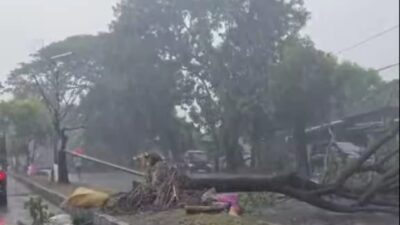 Cuaca Ekstrem Terjang DIY: Tiga Kabupaten Dilanda Hujan Lebat dan Angin Kencang, Rumah hingga Mobil Ringsek