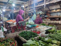 Harga Cabai Rawit di Gunungkidul Tembus Rp85.000 per Kilogram, Musim Hajatan Picu Lonjakan Harga