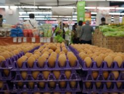Harga Cabai Rawit Merah di Kota Yogyakarta Tembus Rp84.000 per Kilogram, Telur Ayam Naik Rp30.000