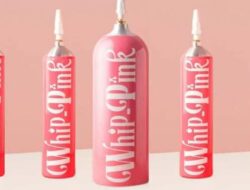 Berapa Harga Whip Pink? Ini Fungsi dan Risiko Penggunaannya