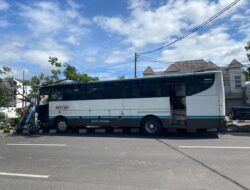 Bus Jogja–Semarang Menabrak Pohon di Perempatan Dongkelan Ringroad Selatan, Sopir Banting Stir Hindari Motor Mendadak Pindah Jalur