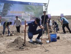 Jaga Keseimbangan Ekosistem dan Estetika, Wabup Sleman bersama Menko IPK Tanam Bibit Pohon di Ruas Tol Prambanan-Purwomartani