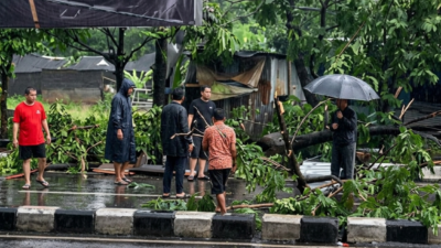 Angin Kencang Terjang Sleman Jumat Siang, Sejumlah Pohon Tumbang Timpa Bangunan dan Kendaraan