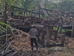 Api dari Pagi Terlupa, Kandang Ternak di Tepus Gunungkidul Hangus Terbakar