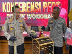 Anggota Satpol PP Gunungkidul Terjerat Kasus Pencurian Sepeda, Terungkap Lakukan Aksi Kriminal Lain