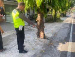 Laka Tunggal, Pengendara Honda Beat Tewas Tabrak Pohon di Jalan Imogiri Barat Bantul