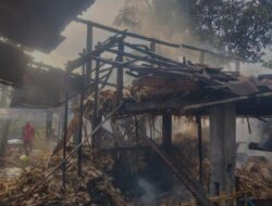 Bakar Sisa Pakan, Kandang Sapi di Semanu Nyaris Ludes Dilalap si Jago Merah