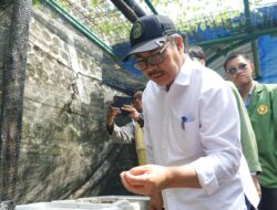 Dukung Toponimi Kampung Gambiran Masyarakat Semai Biji Pohon Gambir, Wali Kota Yogyakarta: Memperkuat Pondasi Budaya dan Ekologi