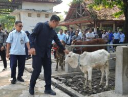 Wabup Sleman Pastikan Ketersediaan dan Kesehatan Hewan Kurban Jelang Iduladha, Imbau Kemasan Daging Kurban Memakai Besek