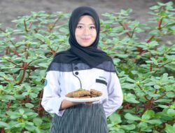 Mahasiswa UNY Gagas “Mikrot”, Mi Inovatif dari Daun Krokot yang Bergizi Tinggi