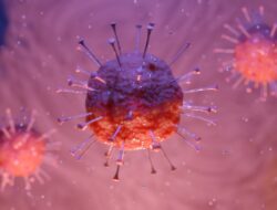 Apa Itu Virus Andes? Perbedaan dengan Hantavirus Lain dan Fakta Penularannya