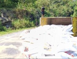 Sempat Tabrak Gran Max, Truk Bermuatan Pakan Ayam Terguling di Tanjakan Sambeng Ngawen Gunungkidul