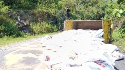 Sempat Tabrak Gran Max, Truk Bermuatan Pakan Ayam Terguling di Tanjakan Sambeng Ngawen Gunungkidul