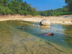 Tahura Bunder Gunungkidul Tawarkan Wisata Eco-Wellnes dengan Susur Sungai Oya, Trekking, Camping, hingga Penangkaran Rusa