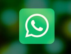 Cara Bikin WhatsApp Tidak Terlihat Saat Cuti, Tetap Online tapi Tidak Terganggu