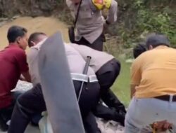 Geger di Kulon Progo! Pria 63 Tahun Luka Parah Disabet Sabit saat Panen Kelapa, Telinga Nyaris Putus