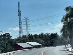 Proyek Jalan Plono–Nglinggo Masuki Tahap Akhir, Wisata Bukit Menoreh Kulon Progo Bersiap Tumbuh Pesat