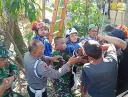 Buruh Tani di Bantul Tewas Tersengat Listrik Saat Cari Pakan Ternak, Korban Meninggal di Atas Pohon