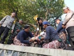 Ribuan Warga Padati Saparan Bekakak Gamping, Bupati Sleman Ajak Jaga Warisan Budaya