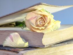 Link Download Novel All Tomorrows di Mana? Ini Cara Baca Karya Fiksi Ilmiah C.M. Kosemen Secara Legal