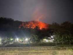 Kebakaran Hutan Imogiri Mengamuk, Delapan Hektare Lahan Hangus dalam Hitungan Jam, Api Muncul di Delapan Titik