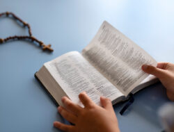 Kalender Liturgi Minggu, 12 Juli 2026: Bacaan Misa Pekan Biasa XV