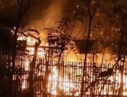 Kebakaran Kandang Ternak di Semanu Gunungkidul, Api Diduga Berasal dari Bara Pembakaran Sampah yang Menyambar Pakan Kering