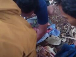 Penemuan Bayi Baru Lahir di Semin Gunungkidul Gegerkan Warga, Ditemukan dalam Tas di Kebun