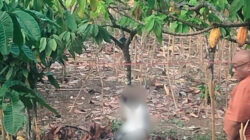 Geger Penemuan Jenazah Perempuan Muda di Gunungkidul, Penyebab Kematian Masih Didalami