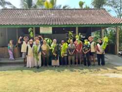 Apapun yang Terjadi di Dunia Teruslah Menanam: Penanaman 250 Bibit Pohon Kakao di Kulon Progo oleh Tim KKN UIN Sunan Kalijaga